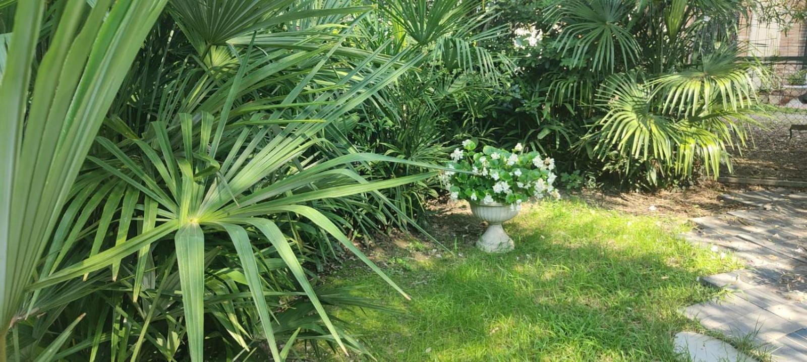 Villaluigia - Oasi Le Palme Padua Exterior foto